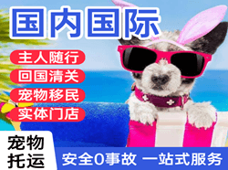 营口兰旗机场货运国际宠物托运 【国